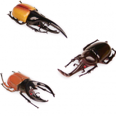 [쌤이오] 교육용 모형완구 곤충 대탐험 18 PCS