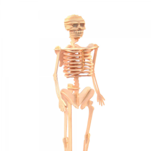 [쌤이오] 뜯어 만드는 원목 입체 퍼즐 인체 뼈구조 3P