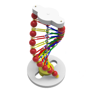 [과학쌤이오] DNA 이중 나선 구조 실험 LED 조명 키트