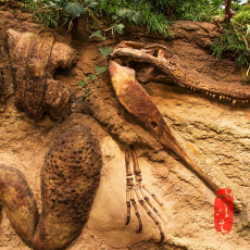 [과학쌤이오] 알지네이트 공룡화석 만들기 5인 키트