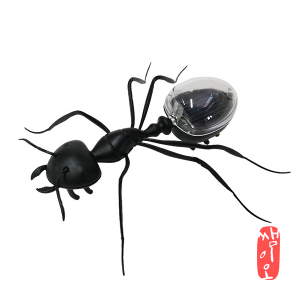 [과학쌤이오] 해 뜨면 일하는 태양광 개미 로봇