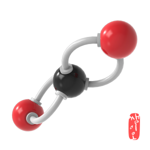 [과학쌤이오] CO2 이산화탄소 분자구조 만들기 5인용