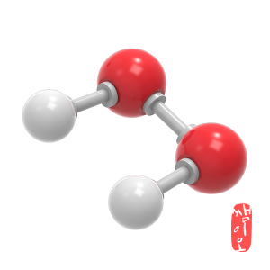 [과학쌤이오] H2O2 과산화수소 분자구조 만들기 5인용