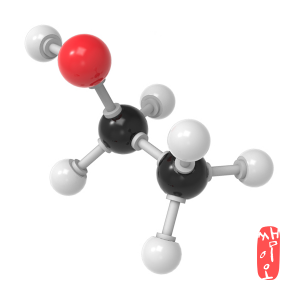 [과학쌤이오] C2H6OH 에탄올 분자구조 만들기 5인용