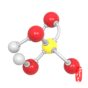 [과학쌤이오] H2SO4 황산 화학 분자구조 만들기 5인용