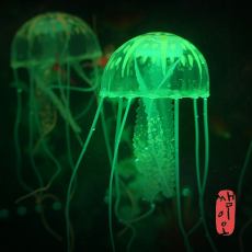 [과학쌤이오] 어항 꾸미기 자외선 형광 해파리