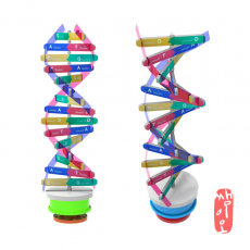 [과학쌤이오] 회전 오르골 DNA 입체 모형