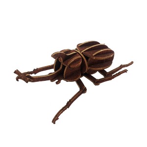 [과학쌤이오] 입체 곤충 퍼즐 만들기 장수풍뎅이