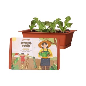 [쌤이오] 식물 기르기 도시 농업 고기친구 키우기 세트 화분받침포함