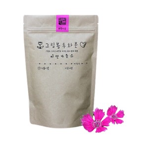 [쌤이오] 식물 기르기 그림봉투화분 패링이꽃