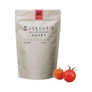 [쌤이오] 식물 기르기 그림봉투화분 방울토마토