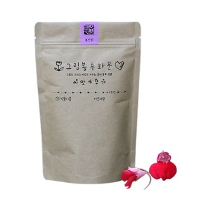 [쌤이오] 식물 기르기 그림봉투화분 봉선화
