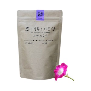 [쌤이오] 식물 기르기 그림봉투화분 나팔꽃