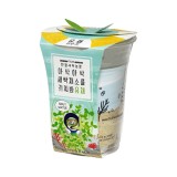 [쌤이오] 식물 기르기 한컵새싹농장 유채키우기
