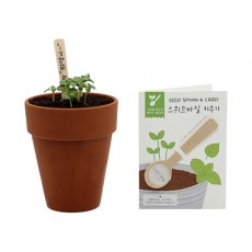 [쌤이오] 식물 기르기 씨드스푼 스위트바질