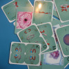 [과학쌤이오] 세포분열 카드 10세트 동물세포 식물세포 체세포분열 감수분열