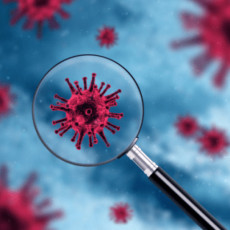 [과학쌤이오] 분자생물학 감염병 발생 관리 바이러스 진단실험 키트 4인 8조