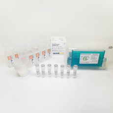[과학쌤이오] 분자생물학 Human DNA 추출 & PCR 실험 키트 / 10회 실험용 세트
