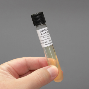 [과학쌤이오] 미생물 곰팡이 실험 대장균 k-12 10ml