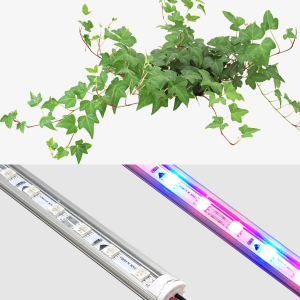 [과학쌤이오] 식물관찰수업 식물성장 LED세트 C세트