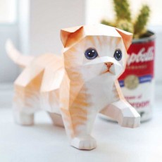 [] STEAM DIY 스코티시폴드 고양이 만들기